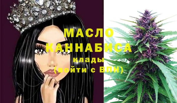 хмурый Аркадак