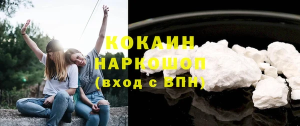 хмурый Аркадак