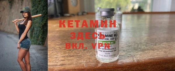 хмурый Аркадак