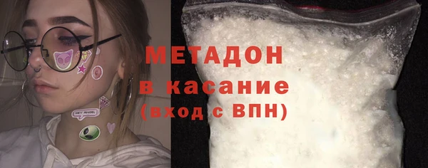 хмурый Аркадак