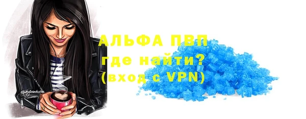 хмурый Аркадак