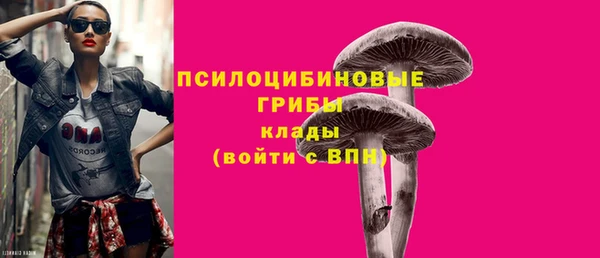 mdpv Арсеньев