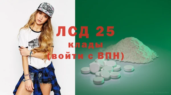 хмурый Аркадак