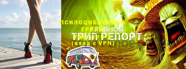 mdpv Арсеньев