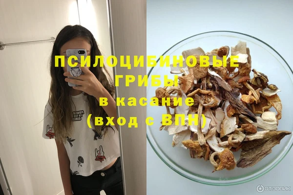 mdpv Арсеньев
