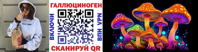 купить   Суоярви  Псилоцибиновые грибы GOLDEN TEACHER 